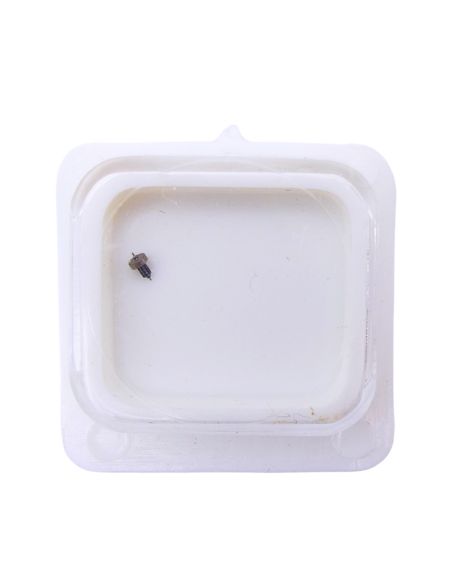 HP 6653 - 4211 Rotor (à l'unité) - Rotor (per unit)