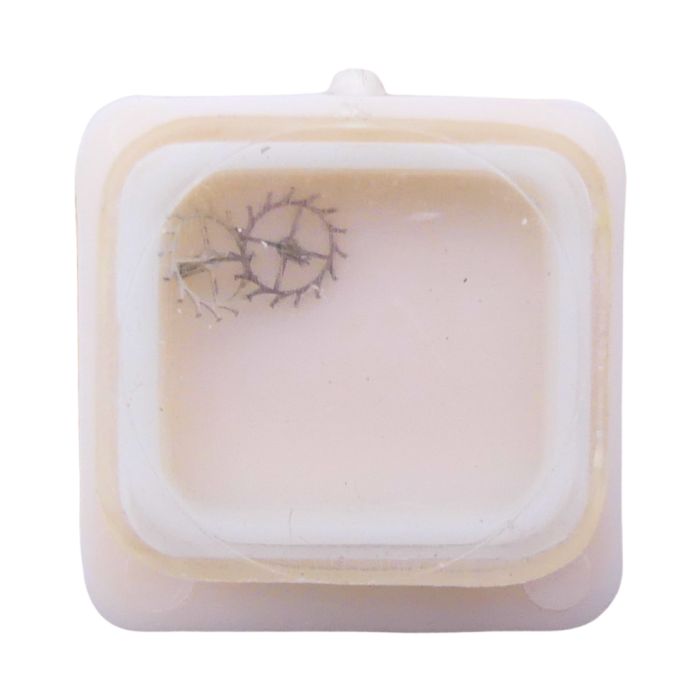 HS P62A - 705 Roue d'ancre pivotée (à l'unité) - Escape wheel and pinion with straight pivots (per unit)