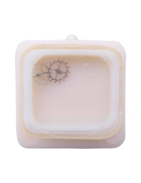 HS P62A - 705 Roue d'ancre pivotée (à l'unité) - Escape wheel and pinion with straight pivots (per unit)