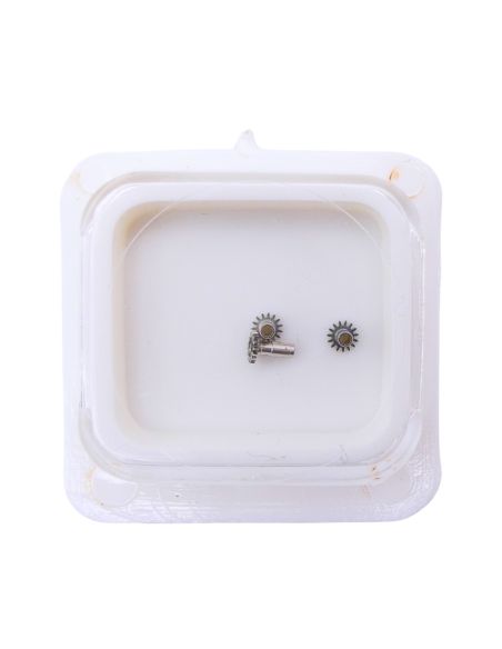 HSP 76 - 245 Chaussée lanternée pour seconde au centre (à l'unité) - Cannon pinion with clam notch for sweep second (per unit)