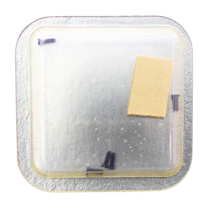 Zenith 2572PC - 51141 Vis de pont inférieur du dispositif automatique - Lower bridge for automatic device screw