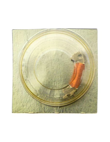 Pulsar VX12 - 4060 Bobine (à l'unité) - Coil (per unit)