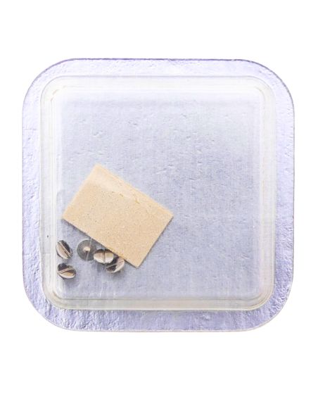 Omega - Vis 2216 - Screw 2216