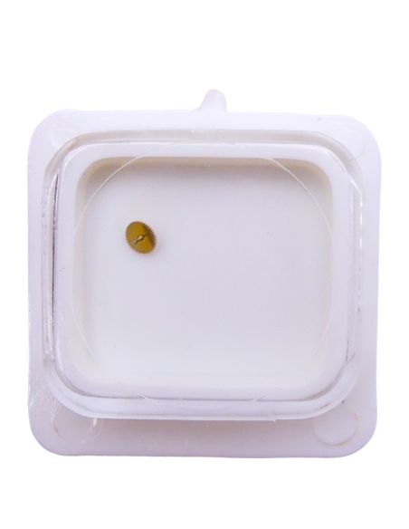 FE 2031/2731 - 203 Roue intermédiaire (à l'unité) - Intermediate wheel and pinion (per unit)