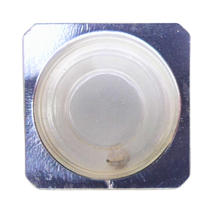 Pulsar Y572A - 242 Chaussée avec roue entraîneuse (à l'unité) - Cannon pinion with driving wheel (per unit)