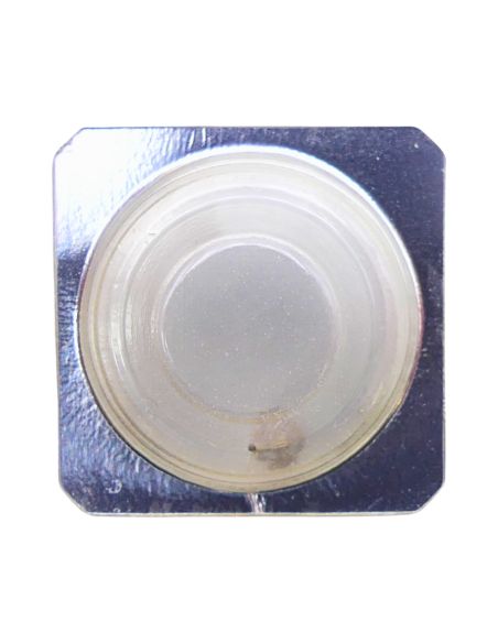 Pulsar Y572A - 242 Chaussée avec roue entraîneuse (à l'unité) - Cannon pinion with driving wheel (per unit)