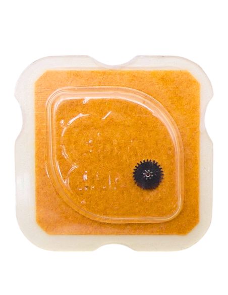 Felsa 4020 - 260 Roue de minuterie (à l'unité) - Minute wheel (per unit)