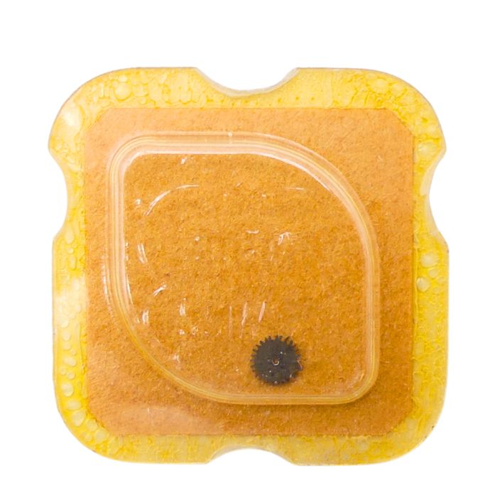 Felsa 4520 - 260 Roue de minuterie (à l'unité) - Minute wheel (per unit)