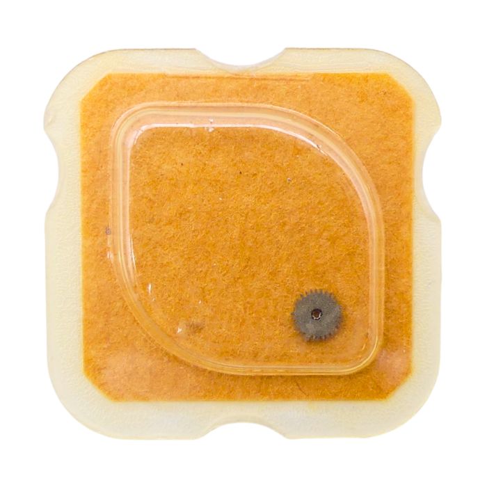 FEF 270 - 260 Roue de minuterie (à l'unité) - Minute wheel (per unit)