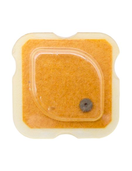 FEF 270 - 260 Roue de minuterie (à l'unité) - Minute wheel (per unit)