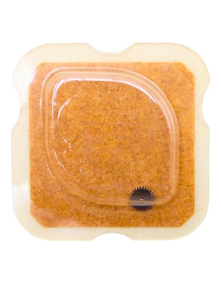 FHF 75 - 260 Roue de minuterie (à l'unité) - Minute wheel (per unit)