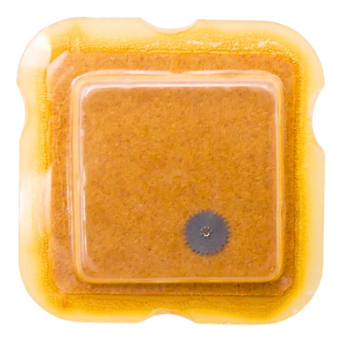 FHF 100.101 - 260 Roue de minuterie (à l'unité) - Minute wheel (per unit)