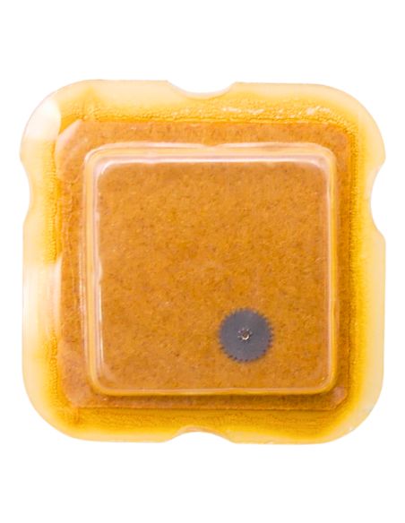 FHF 100.101 - 260 Roue de minuterie (à l'unité) - Minute wheel (per unit)