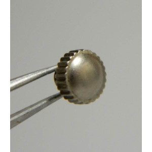 Hamilton GI couronne