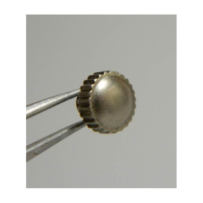 Hamilton GI couronne