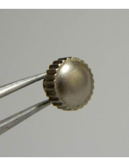 Hamilton GI couronne