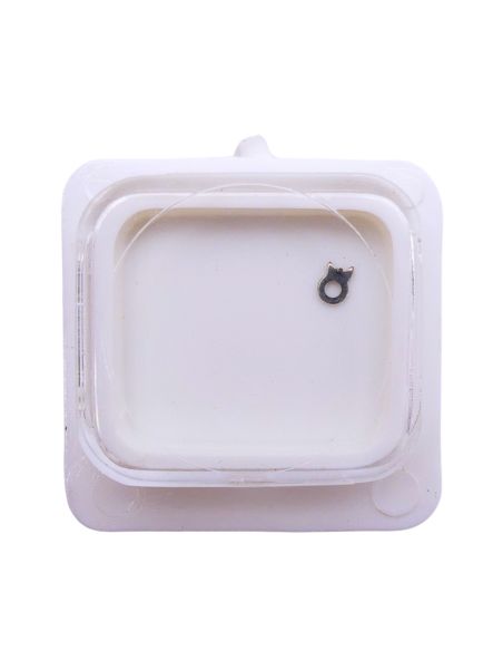 AS 1981 - 425 Cliquet (à l'unité) - Click (per unit)