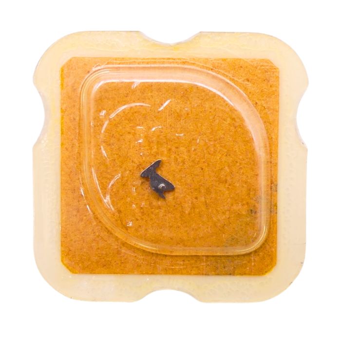 ETA 2776 - 425 Cliquet (à l'unité) - Click (per unit)