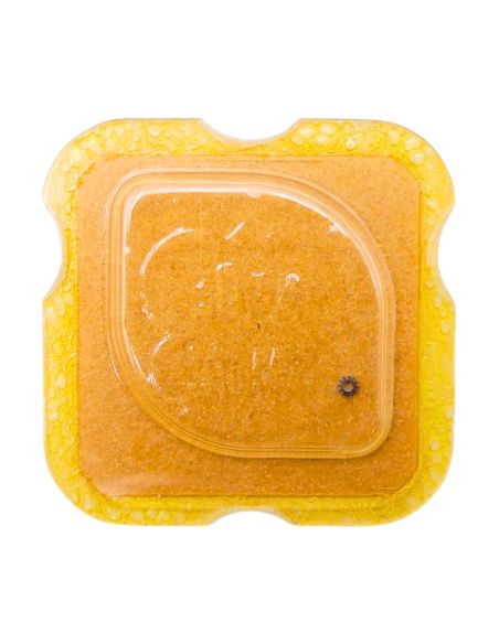 FHF 57 - 453 Renvoi Intermédiaire (à l'unité) - Additional setting wheel (per unit)