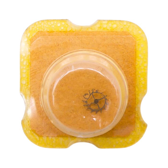 AS 976 - 703 Roue d'ancre pivotée pour contre-pivot dessous (à l'unité) - Escape wheel and pinion pivoted for lower end-piece (p