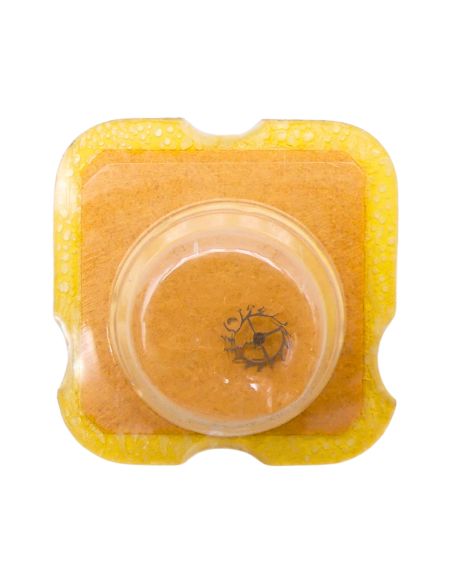 AS 976 - 703 Roue d'ancre pivotée pour contre-pivot dessous (à l'unité) - Escape wheel and pinion pivoted for lower end-piece (p