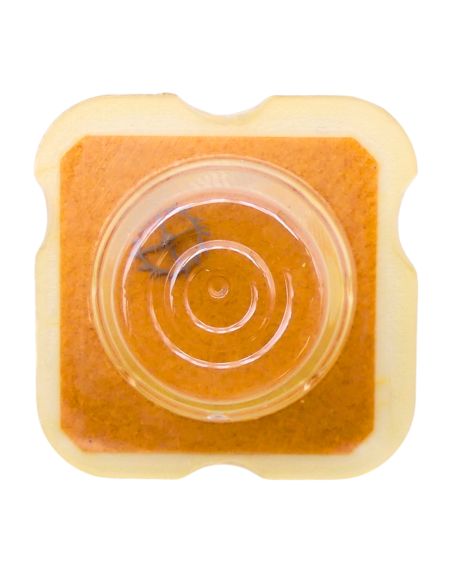 AS 1900 - 703 Roue d'ancre pivotée pour contre-pivot dessous (à l'unité) - Escape wheel and pinion pivoted for lower end-piece (