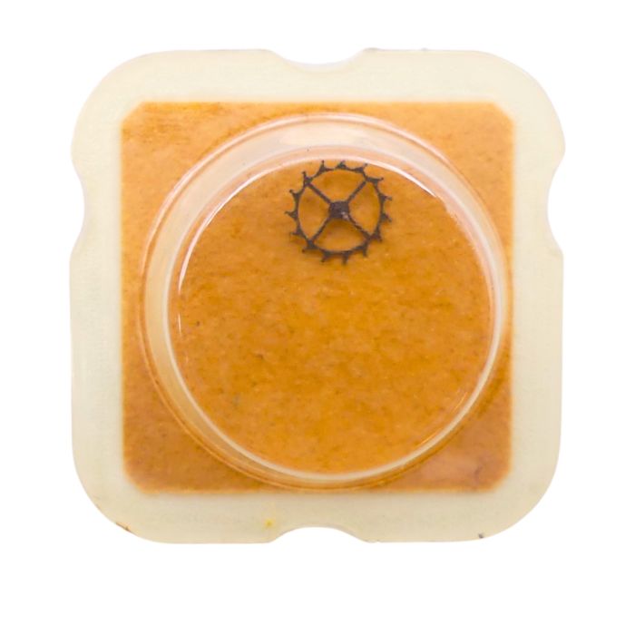 FEF 6660 - 703 Roue d'ancre pivotée pour contre-pivot dessous (à l'unité) - Escape wheel and pinion pivoted for lower end-piece 