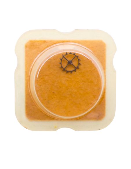 FEF 6660 - 703 Roue d'ancre pivotée pour contre-pivot dessous (à l'unité) - Escape wheel and pinion pivoted for lower end-piece 