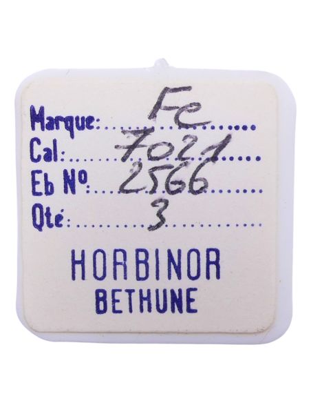 FE 7021 - 2566 Correcteur de quantième (à l'unité) - Date corrector (per unit)