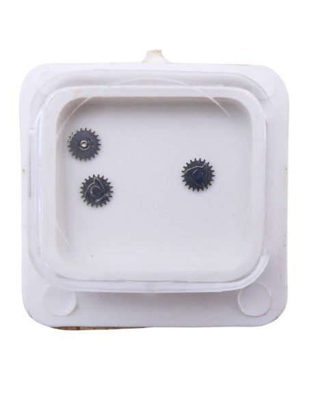 FE 8121 - 2566 Correcteur de quantième (à l'unité) - Date corrector (per unit)