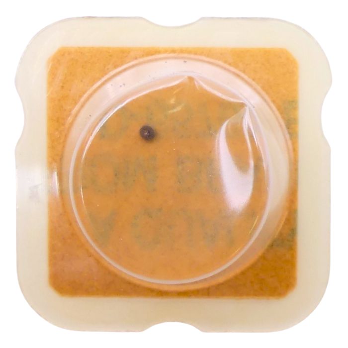 ETA 281.001 - 4211 Rotor (à l'unité) - Rotor (per unit)