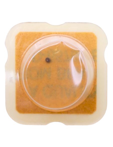 ETA 281.001 - 4211 Rotor (à l'unité) - Rotor (per unit)