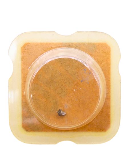 ETA 579.101 - 4211 Rotor (à l'unité) - Rotor (per unit)