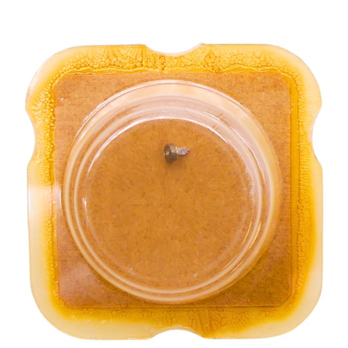 ESA 926.311 - 4211 Rotor (à l'unité) - Rotor (per unit)