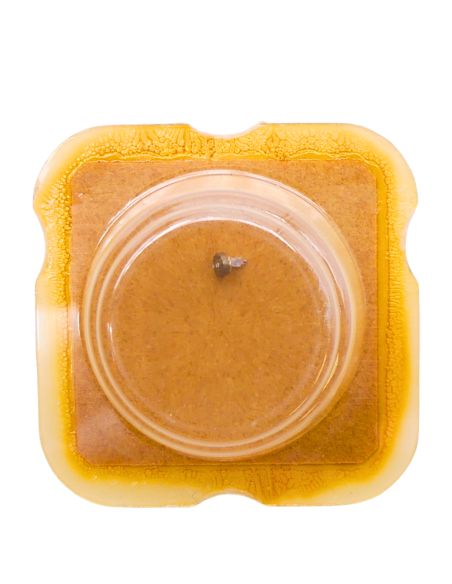 ESA 926.311 - 4211 Rotor (à l'unité) - Rotor (per unit)