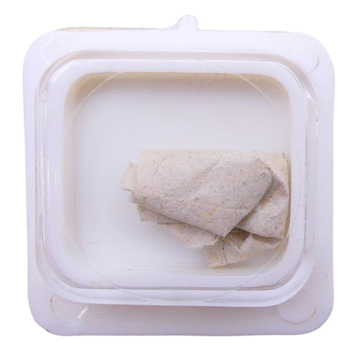 Pulsar Y113A - 4211 Rotor (à l'unité) - Rotor (per unit)