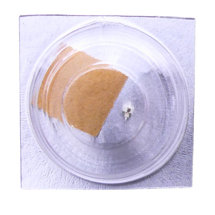 Pulsar Y148A - 4211 Rotor (à l'unité) - Rotor (per unit)