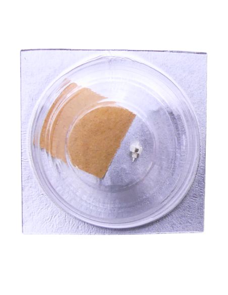 Pulsar Y148A - 4211 Rotor (à l'unité) - Rotor (per unit)