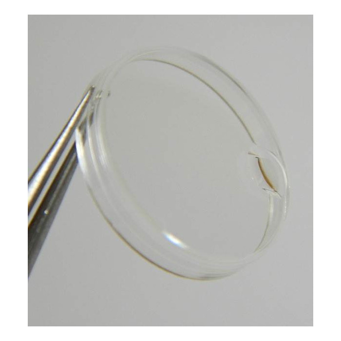 Tudor 7582 Verre 25-121