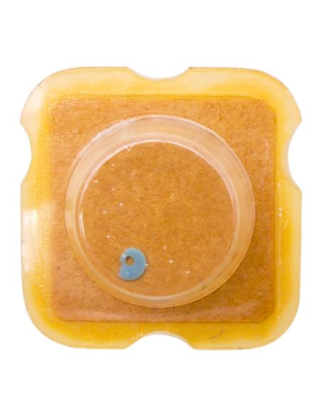 INT 7425 - 2628 Came de bascule de déclenchement (à l'unité) - Unlocking yoke cam (per unit)