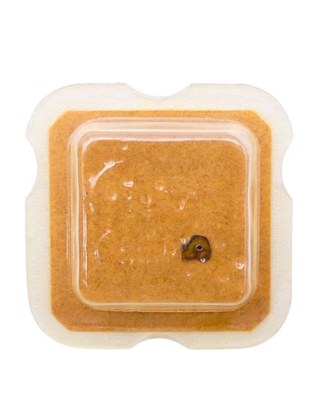 INT 7426 - 2628 Came de bascule de déclenchement (à l'unité) - Unlocking yoke cam (per unit)