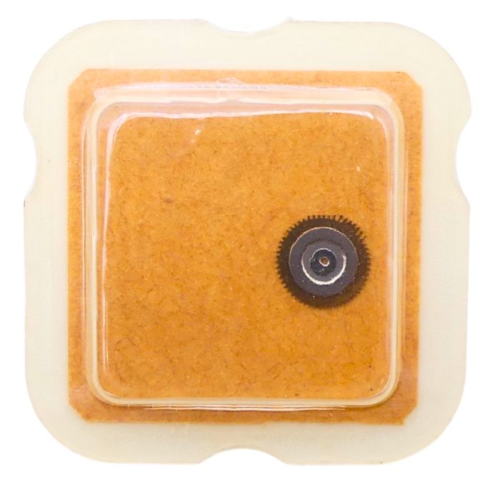 ETA 2641 - 2556 Roue entraineuse de l'étoile et de l'indicateur de quantième (à l'unité) - Date star and indicator driving wheel