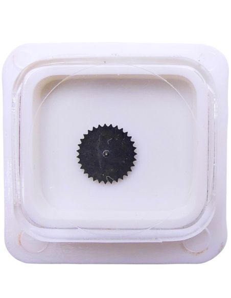 Harley 706 - 2556 Roue entraineuse de l'étoile et de l'indicateur de quantième (à l'unité) - Date star and indicator driving whe