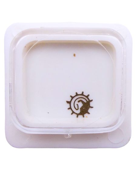 ISA 307 - 2556 Roue entraineuse de l'étoile et de l'indicateur de quantième (à l'unité) - Date star and indicator driving wheel 