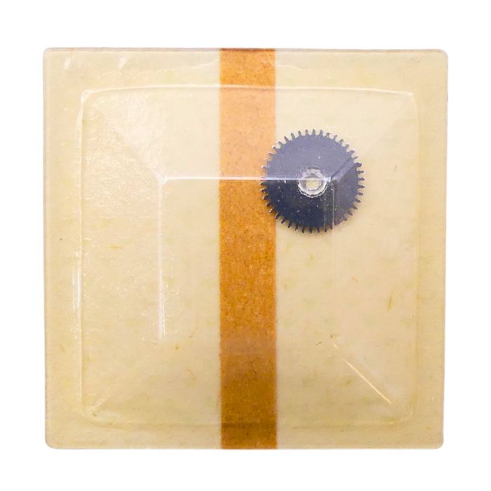 PUW 1001 - 2556 Roue entraineuse de l'étoile et de l'indicateur de quantième (à l'unité) - Date star and indicator driving wheel