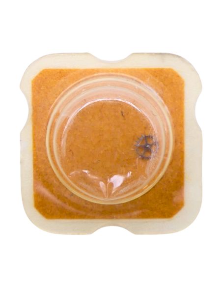 ESA 9200 - 4360 Roue d'encliquetage pivotée (à l'unité) - Click wheel pivoted (per unit)