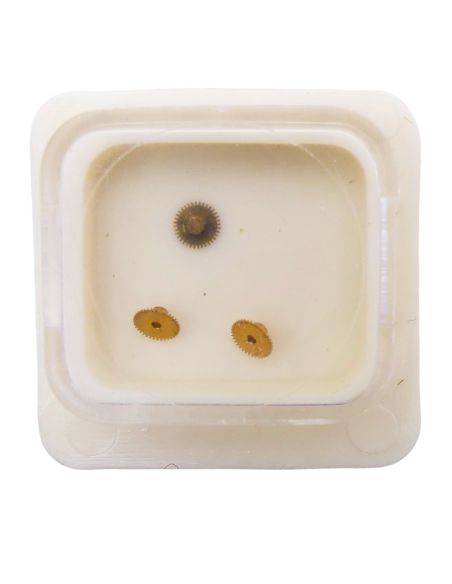 Technic Ebauche 573 - 250 Roue des heures (à l'unité) - Hour wheel (per unit)