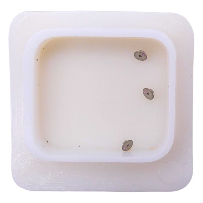 Technic Ebauche 573A - 730 Plateau (à l'unité) - Roller (per unit)