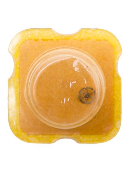 Felsa 4520 - 220 Roue de seconde court pivot (à l'unité) - Fourth wheel and pinion without second hand bit (per unit)