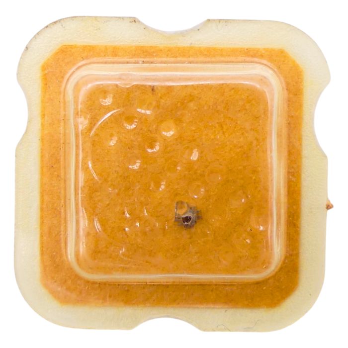 Felsa 700/700N - 245 Chaussée lanternée pour seconde au centre (à l'unité) - Cannon pinion with clam notch for sweep second(pe